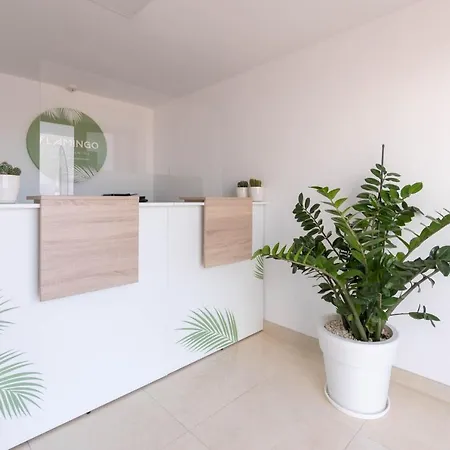 Appartement Flamingo *